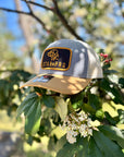 Star Pro Heather Grey/Birch/Amber Gold