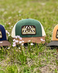 Limited Edition: Premium Hunter Green / Birch / Chestnut