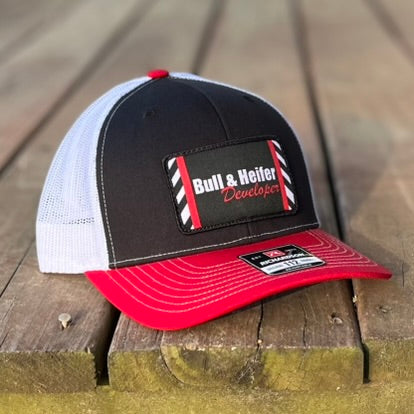 Bull and Heifer Black / White / Red